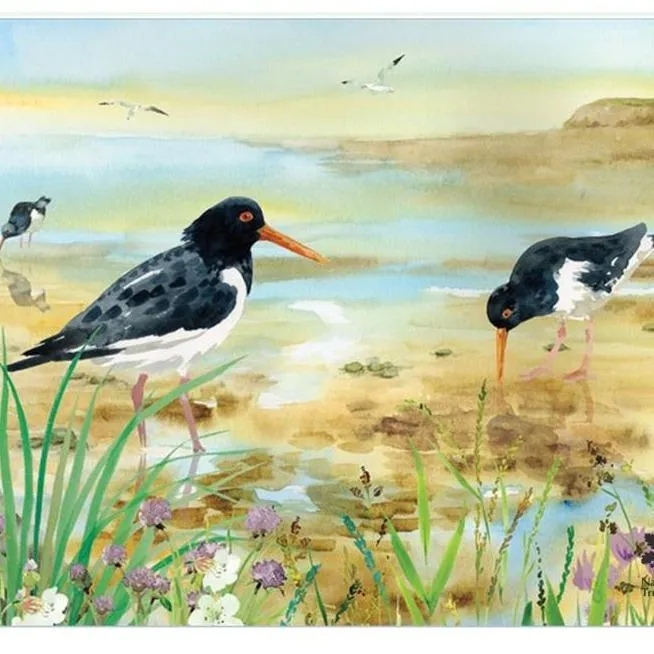 National Trust Oyster Catcher Worktop Protector